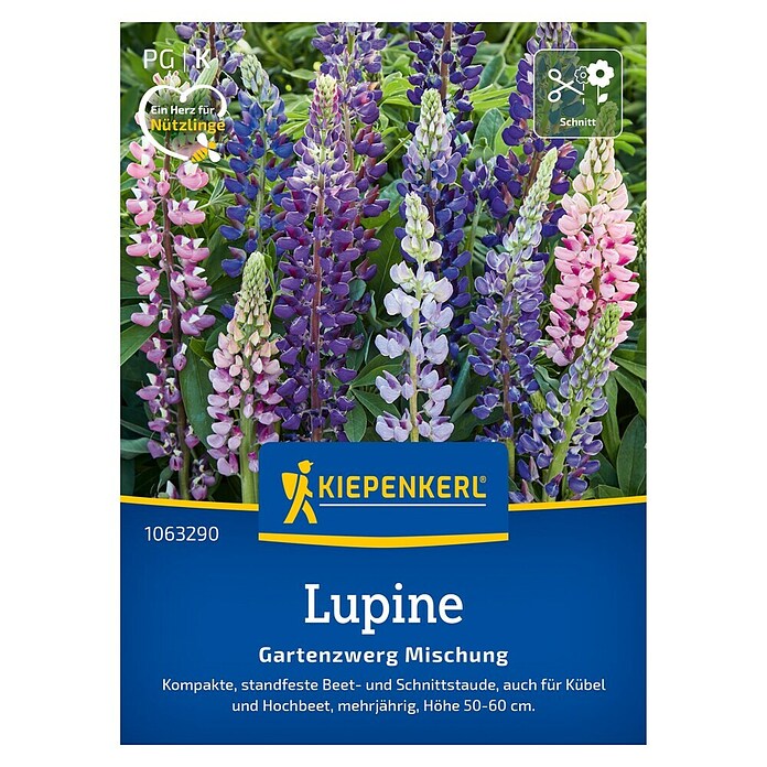Kiepenkerl Profi-Line Blumensamenmischung Lupine Gartenzwerg (Lupinus polyphyllus, Mehrfarbig) | BAUHAUS