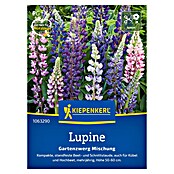 Kiepenkerl Profi-Line Blumensamenmischung Lupine Gartenzwerg (Lupinus polyphyllus, Mehrfarbig) | BAUHAUS