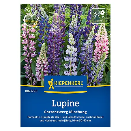 Kiepenkerl Profi-Line Blumensamenmischung Lupine Gartenzwerg