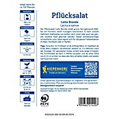 Kiepenkerl Profi-Line Salatsamen Pflücksalat Lollo Bionda (Lactuca sativa var. crispa, Erntezeit: Mai) | BAUHAUS