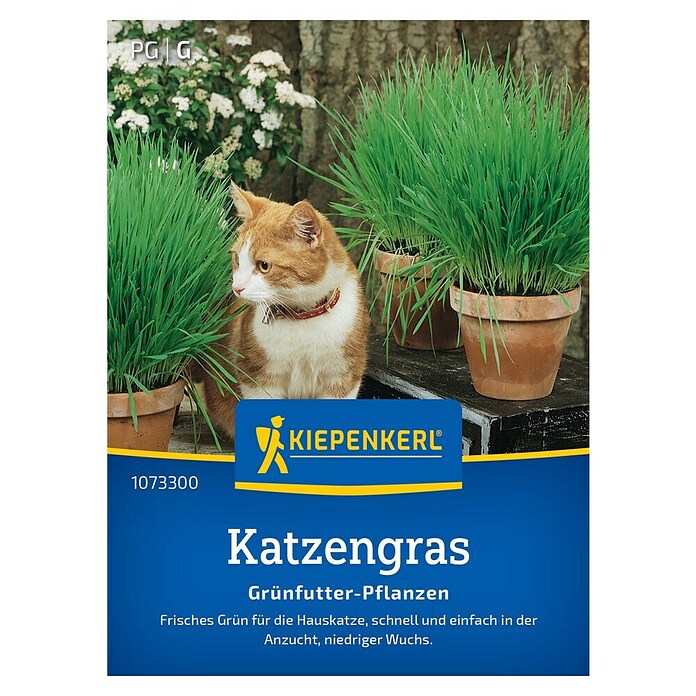 Kiepenkerl Profi-Line Saatgut Katzengras Frischgrün (Verschiedene sorten) | BAUHAUS