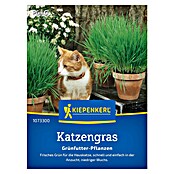 Kiepenkerl Profi-Line Saatgut Katzengras Frischgrün (Verschiedene sorten) | BAUHAUS