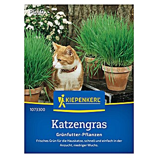 Kiepenkerl Profi-Line Saatgut Katzengras Frischgrün (Verschiedene sorten)
