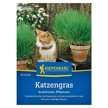 Kiepenkerl Profi-Line Saatgut Katzengras Frischgrün