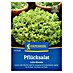 Kiepenkerl Profi-Line Salatsamen Pflücksalat Lollo Bionda 