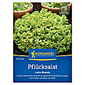 Kiepenkerl Profi-Line Salatsamen Pflücksalat Lollo Bionda (Lactuca sativa var. crispa, Erntezeit: Mai) | BAUHAUS