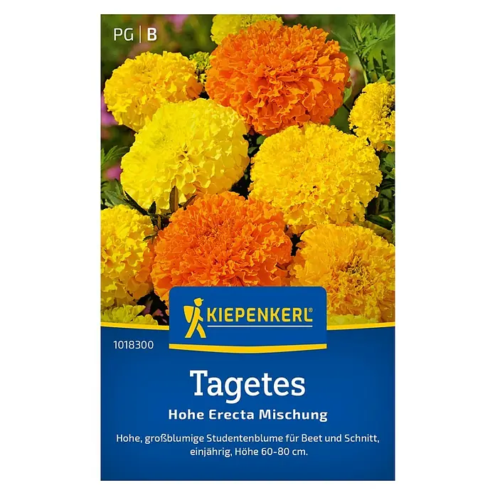 Kiepenkerl Blumensamen Tagetes - Tagetes erecta, Gelb-Orange - Samenpackung Tagetes Hohe Erecta Mischung mit farbenprächtigen Studentenblumen, ideal für Beet und Schnitt, einjährig und 60-80 cm hoch.
