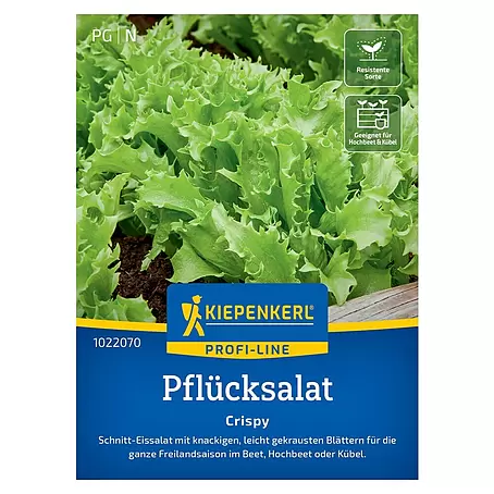 Kiepenkerl Profi-Line Gemüsesamen Crispy