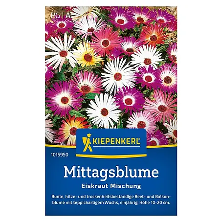 Kiepenkerl  Blumensamenmischung Mittagsblume Eiskraut