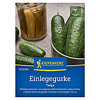 Kiepenkerl Profi-Line Gemüsesamen Einlegegurken (Cucumis sativus, Erntezeit: Juli)