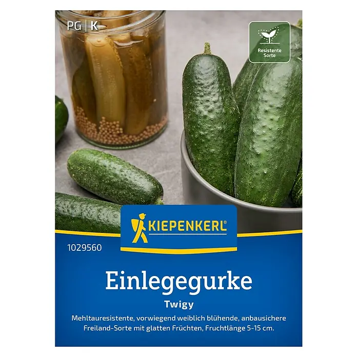 Kiepenkerl Profi-Line Gemüsesamen Einlegegurken - Cucumis sativus, Erntezeit: Juli - Abbildung der Einlegegurke Twigy, eine resistente Sorte von Kiepenkerl, ideal für den Anbau im Freien und bekannt für ihre glatten Früchte.