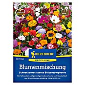 Kiepenkerl Profi-Line Blumensamenmischung Schneckenresistente Blütensymphonie (Verschiedene Sorten, Mehrfarbig, 2 m²) | BAUHAUS