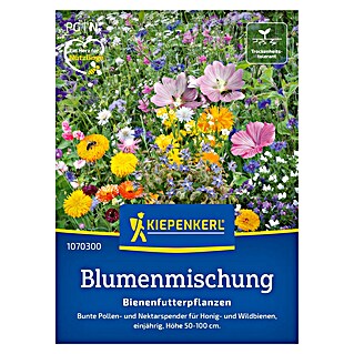 Kiepenkerl Blumensamenmischung Bienenfutterpflanzen (Verschiedene Sorten, Mehrfarbig, 10 m²)