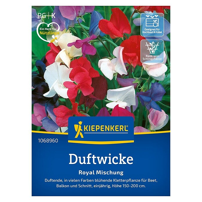 Kiepenkerl Blumensamenmischung Duftwicke Royal (Lathyrus odoratus, Mehrfarbig) | BAUHAUS