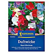 Kiepenkerl Blumensamenmischung Duftwicke Royal (Lathyrus odoratus, Mehrfarbig) | BAUHAUS