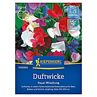 Kiepenkerl Blumensamenmischung Duftwicke Royal (Lathyrus odoratus, Mehrfarbig)
