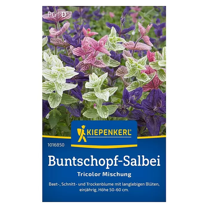 Kiepenkerl Blumensamen Buntschopf-Salbei Tricolor - Salvia viridis - Produktverpackung für Buntschopf-Salbei Tricolor Mischung mit violetten, rosa und weißen Blüten.