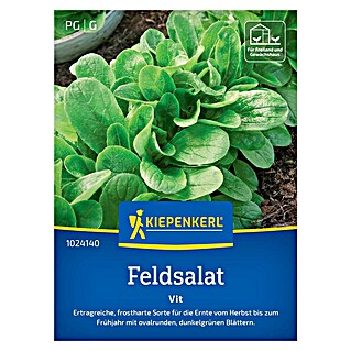 Kiepenkerl Profi-Line Salatsamen Feldsalat Vit (Valerianella locusta, Erntezeit: Januar)