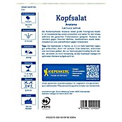 Kiepenkerl Profi-Line Salatsamen Kopfsalat Analena Saatband (Lactuca sativa var. capitata, Erntezeit: Mai) | BAUHAUS