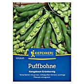 Kiepenkerl Gemüsesamen Puffbohne Hangdown Grünkernig (Vicia faba, Erntezeit: Juni) | BAUHAUS