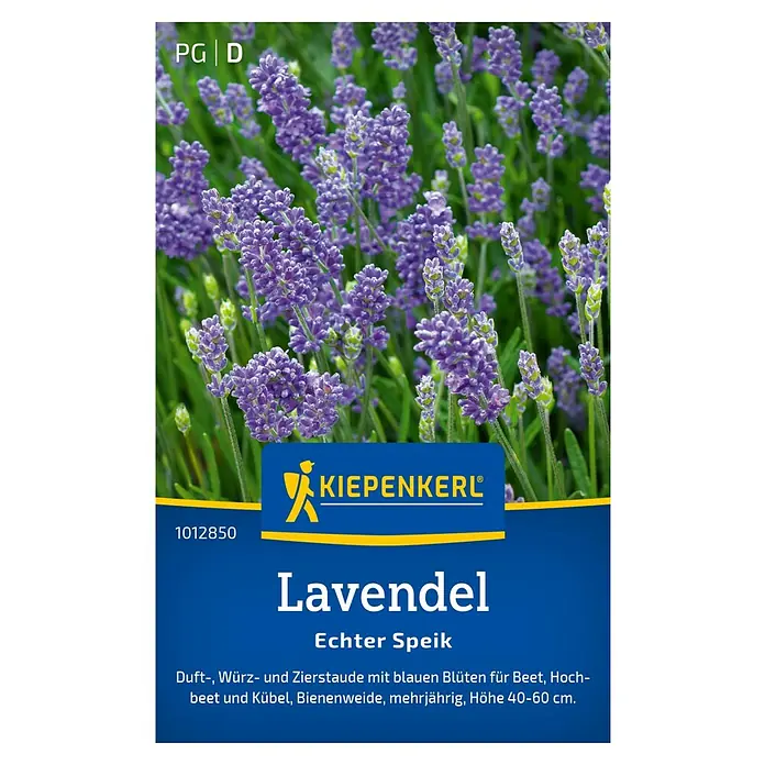 Kiepenkerl Blumensamen Lavendel - Lavandula angustifolia, Blau - Lavendel der Marke Kiepenkerl. Duftende, mehrjährige Zierstaude mit blauen Blüten für Beet, Hochbeet und Kübel, Höhe 40-60 cm.