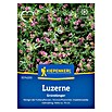 Kiepenkerl Gründüngung (Medicago sativa, Inhalt reicht für ca. 25 Quadratmeter) | BAUHAUS