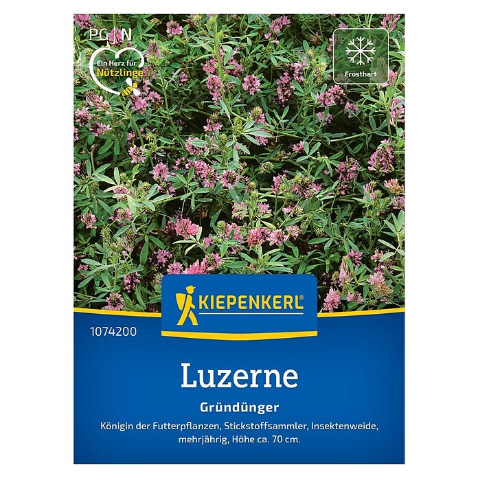 Kiepenkerl Gründüngung (Medicago sativa, Inhalt reicht für ca. 25 Quadratmeter) | BAUHAUS