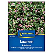 Kiepenkerl Gründüngung Luzerne (Medicago sativa, Inhalt reicht für ca. 25 Quadratmeter) | BAUHAUS