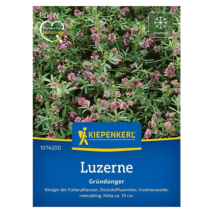 Kiepenkerl Gründüngung Luzerne - Medicago sativa, Inhalt reicht für ca. 25 Quadratmeter - Kiepenkerl Luzerne Gründünger Samenpackung mit rosa Blüten, bienenfreundlich und frosthart.