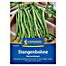 Kiepenkerl Gemüsesamen Stangenbohne Neckarkönigin 