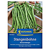 Kiepenkerl Gemüsesamen Stangenbohne Neckarkönigin (Phaseolus vulgaris var. vulgaris, Erntezeit: Juli) | BAUHAUS