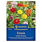 Kiepenkerl Profi-Line Blumensamen Zinnie Espana (Zinnia elegans, Mehrfarbig) | BAUHAUS