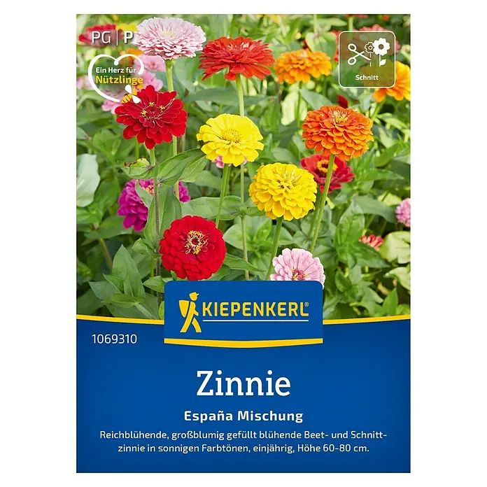Kiepenkerl Profi-Line Blumensamen Zinnie Espana - Zinnia elegans, Mehrfarbig - Abbildung von Kiepenkerl Zinnie España Mischung, eine farbenfrohe und reichblühende Beet- und Schnittblume.