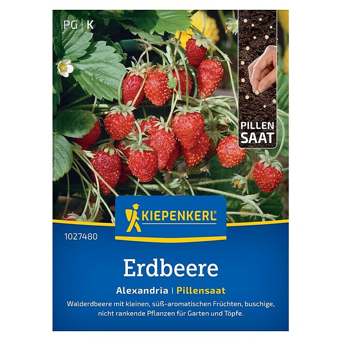 Kiepenkerl Profi-Line Obstsamen Erdbeere Alexandria (Fragaria vesca, Erntezeit: Mai) | BAUHAUS