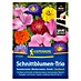 Kiepenkerl Blumensamenmischung Sommeraster, Bechermalve, Ziennie 