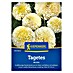 Kiepenkerl Profi-Line Blumensamen Tagetes 