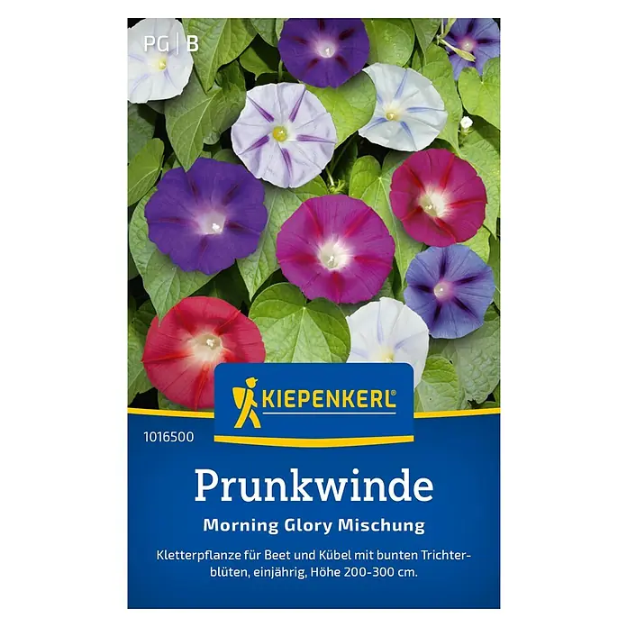 Kiepenkerl Blumensamen Prunkwinde Prachtmischung Morning Glory - Ipomoea purpurea, Mehrfarbig - Samentüte mit Prunkwinde 'Morning Glory Mischung' von Kiepenkerl. Kletterpflanze mit bunten Blüten für Beet und Kübel, einjährig.
