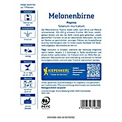 Kiepenkerl Profi-Line Obstsamen Melonenbirnen Pepino (Solanum muricatum, Erntezeit: Juli) | BAUHAUS
