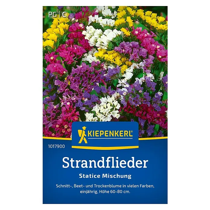 Kiepenkerl Blumensamenmischung Strandflieder - Limonium sinuatum, Mehrfarbig - Samenpackung Strandflieder Statice Mischung. Einjährige Beet- und Trockenblume in vielen Farben, Höhe 60-80 cm.