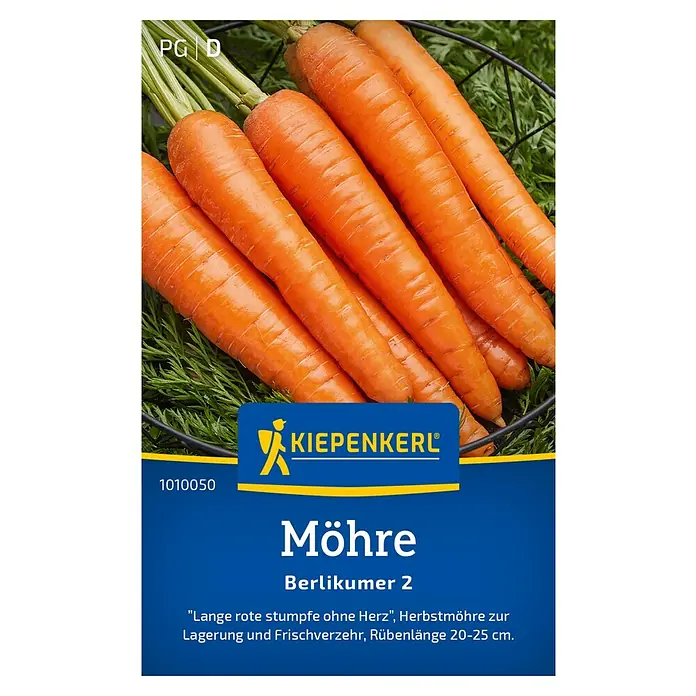 Kiepenkerl Gemüsesamen Möhre Berlikumer 2 - Daucus carota ssp. sativus, Erntezeit: September - Das Bild zeigt eine Kiepenkerl Möhre Berlikumer 2 Saatgutpackung mit frischen Karotten.