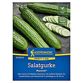 Kiepenkerl Profi-Line Gemüsesamen Salatgurken Maximé® (Cucumis sativus, Erntezeit: Juli)
