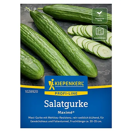 Kiepenkerl Profi-Line Gemüsesamen Salatgurken Maximé®