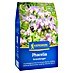Kiepenkerl Gründüngung Phacelia 