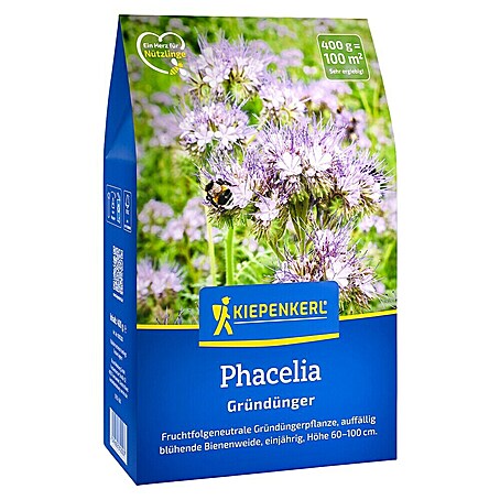 Kiepenkerl Gründüngung Phacelia (Phacelia tanacetifolia, Inhalt reicht für ca. 100 Quadratmeter)