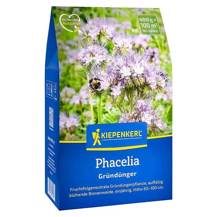 Kiepenkerl Gründüngung Phacelia - Phacelia tanacetifolia, Inhalt reicht für ca. 100 Quadratmeter - Blauer Kiepenkerl Phacelia Gründünger Samenbeutel mit lila Blüten und Biene, zeigt Deckung und Vorteile.
