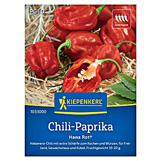 Kiepenkerl Profi-Line Gemüsesamen Chili Habanero (Capsicum chinense, Erntezeit: Juli)