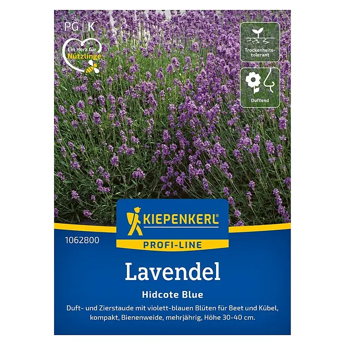 Kiepenkerl Profi-Line Blumensamen Lavendel Hidcote Blue - Lavandula angustifolia, Lavendelblau - Packung Lavendel Hidcote Blue, eine duftende, mehrjährige Zierstaude mit violettblauen Blüten, ideal für Beet und Kübel.