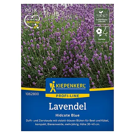 Kiepenkerl Profi-Line Blumensamen Lavendel Hidcote Blue