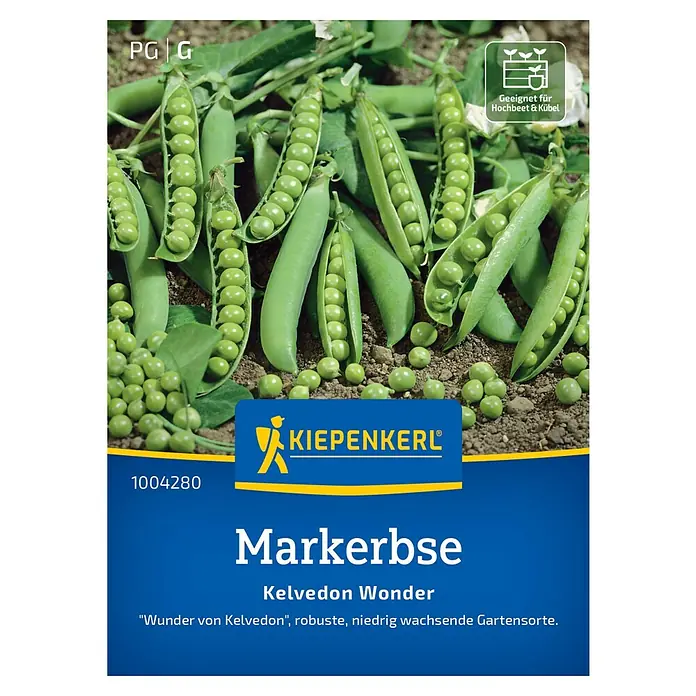 Kiepenkerl Gemüsesamen Markerbse Kelvedon Wonder - Pisum sativum, Erntezeit: Juni - Abbildung der "Markerbse Kelvedon Wonder" Samenpackung von Kiepenkerl, eine robuste Gartensorte, ideal für Hochbeete und Kübel.