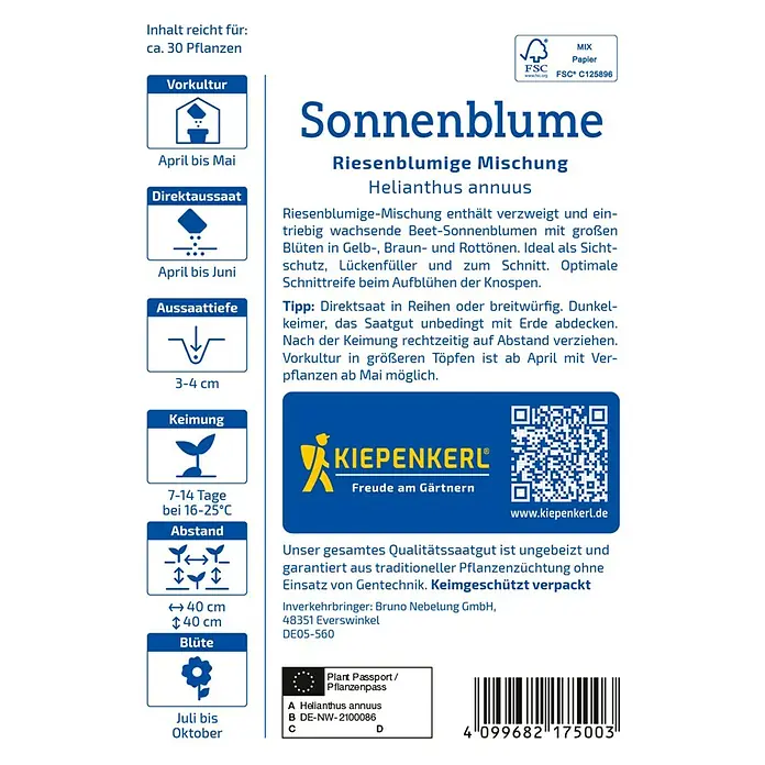 Kiepenkerl Blumensamen Sonnenblume - Helianthus annuus, Mehrfarbig - Abbildung des Produkts Sonnenblume, Riesenblumige Mischung, Helianthus annuus, für den Gartenanbau.